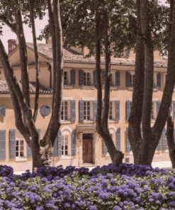 Scenic View ofChateau d'Esclans, Provence, France, home of the iconic Whispering Angel Rose Wine