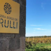 Scenic view of the Vines at Masseria Borgo Dei Trulli IGP Puglia, Italy