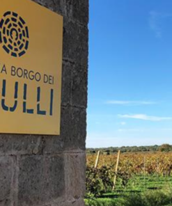 Scenic view of the Vines at Masseria Borgo Dei Trulli IGP Puglia, Italy