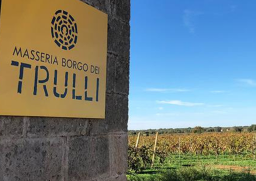 Scenic view of the Vines at Masseria Borgo Dei Trulli IGP Puglia, Italy