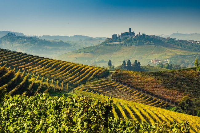 Piedmont-wine-region-italy