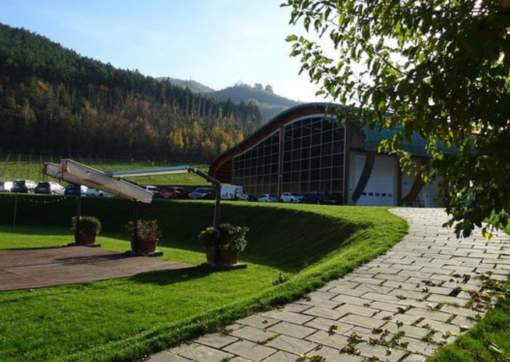 Scenic view of Poderi dal Nespoli, Winery & Vineyard, Romagna, Italy