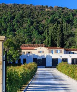 Chateau Minuty De Minuty Vineyard, Provence France