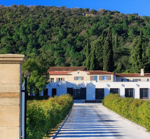 Chateau Minuty De Minuty Vineyard, Provence France