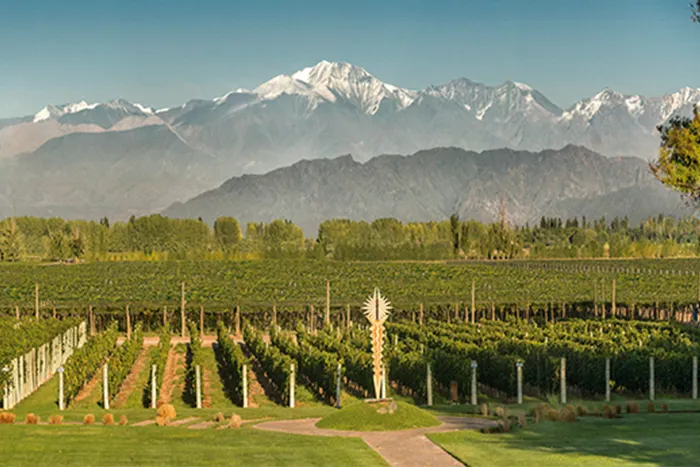 Argentina's Bodega Norton Vineyard with the Andes Mountains in the background