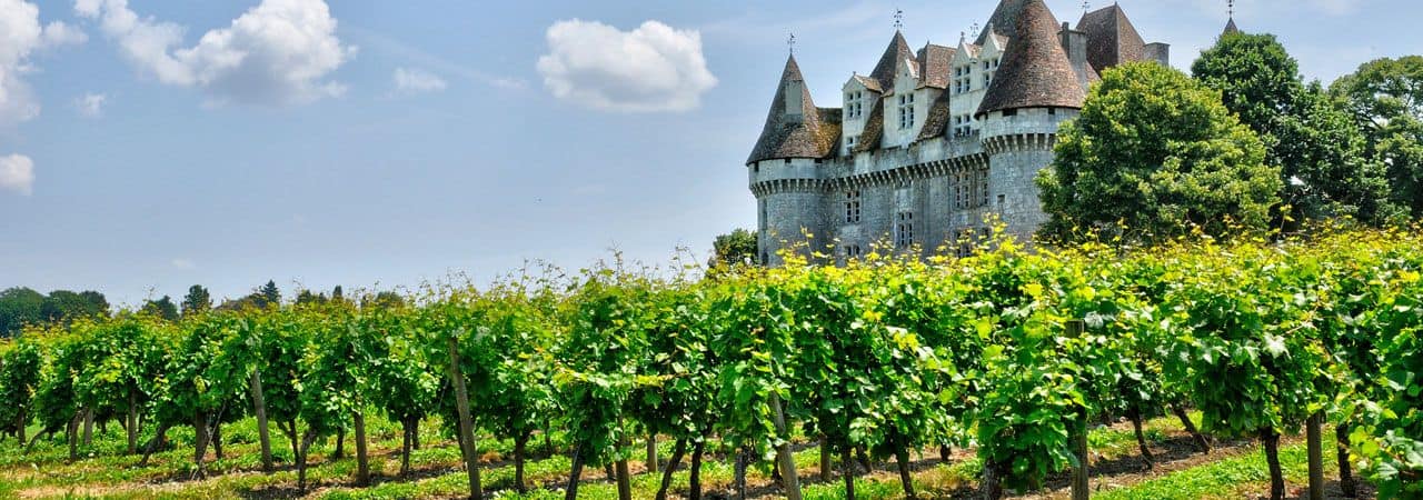 French Vineyard showing the Chateau and Cabernet Sauvignon