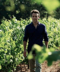 The organic Wine Maker Olivier Coste walking in organic vineyards in Languedoc France