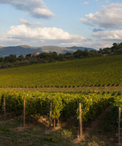 Antinori Tenuta Pèppoli Wine Estate, Chianti Classico, Italy