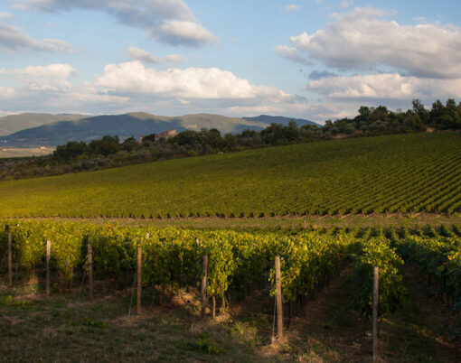 Antinori Tenuta Pèppoli Wine Estate, Chianti Classico, Italy