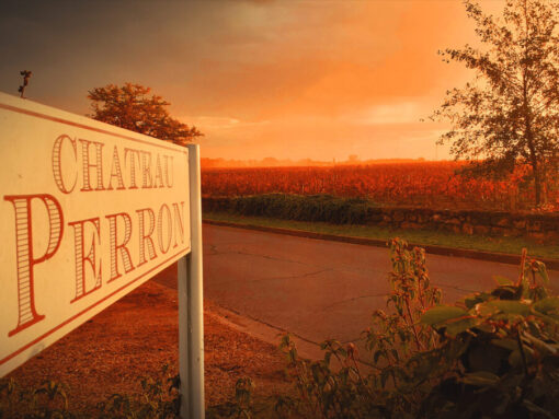 Château Perron Lalande-de-Pomerol, Bordeaux Vineyard Landscape at Sunset