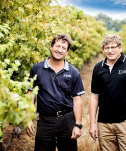 Deakin Estate Vineyard, Victoria, Australia - Wine makers standing amongst the vines