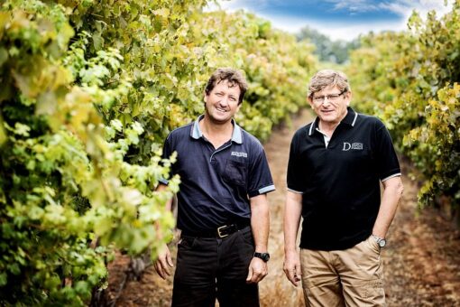 Deakin Estate Vineyard, Victoria, Australia - Wine makers standing amongst the vines