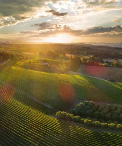 Scenic Aerial View of Dog Point Vineyard, Marlborough New Zealand