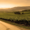 Feudo Arancio Sicily, Italy scenic vineyard view