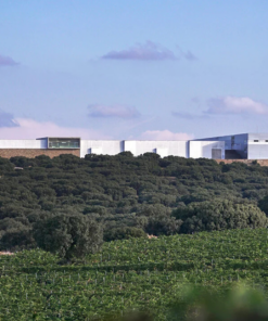 Scenic view of Historic Organic Finca Antigua La Mancha Spain Vineyard and the Wine Production Facility