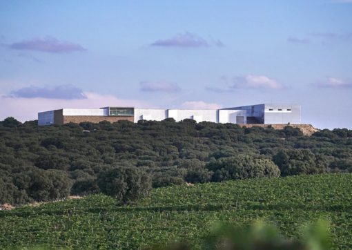 Scenic view of Historic Organic Finca Antigua La Mancha Spain Vineyard and the Wine Production Facility