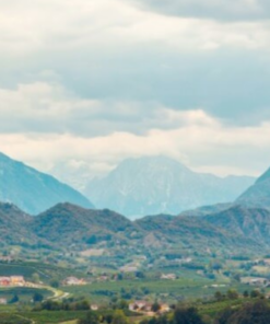 Scenic view of Santa Margherita Vineyard in Trentino-Alto Adige, Italy