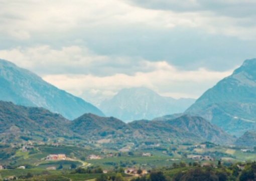 Scenic view of Santa Margherita Vineyard in Trentino-Alto Adige, Italy