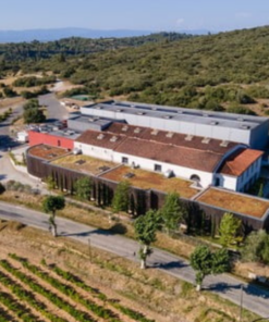 Scenic view of Badet Clément Vineyard and the Wine Production Facility in Pays d'Oc IGP, Languedoc-Roussillon, France